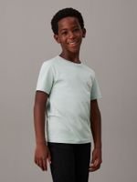 Polera Niño Ches Monologo Verde Calvin Klein