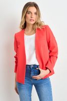 Blazer Liso Rojo Ash 16007225009103