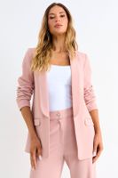 Blazer Liso Rosa Ash 16007126003123