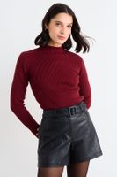 Sweater Liso Burdeos iO 18120126006112