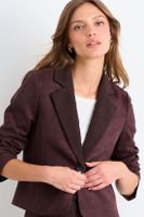 Blazer Liso Café iO 16020126063109