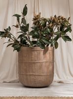 Macetero Huaquen Natural Xl