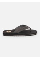 Sandalias Chillcrest Negro Hombre Rip Curl