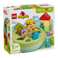 CLASIFICADOR DE FORMAS: CASA DE LOS PERRITOS DUPLO 10441