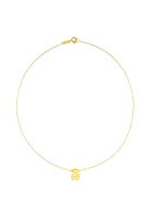 Collar de oro motivo oso Sweet Dolls