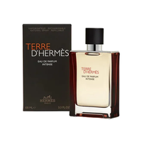 Perfume Terre DHermes EDP Intense 100 ml