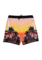 Traje de baño teens niño holiday 526g