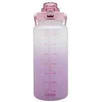 BOTELLA DAILY 2L KEEP - LILA