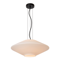 LAMPARA COLGANTE TREVOR Ø50 1XE27