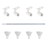 KIT DE RIEL ENERGIZADO BLANCO 2MT