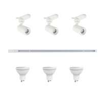 KIT DE RIEL ENERGIZADO BLANCO 1MT