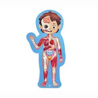 Rompecabezas Del Cuerpo Humano