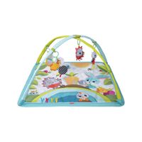 Gimnasio Meadow Days Sunny Day Tiny Love