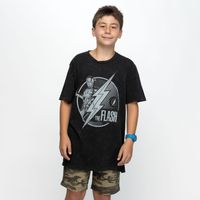 Polera Hombre The Flash Byn Gris Dc Comics