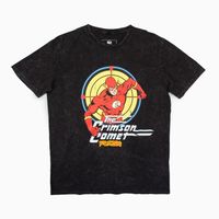 Polera Hombre The Flash Cometa Gris Dc Comics
