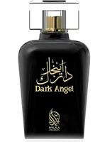 PERFUME  NYLAA PREMIUM DARK ANGEL EDP 100ML