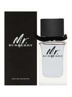 PERFUME MR BURBERRY EDT 100ML