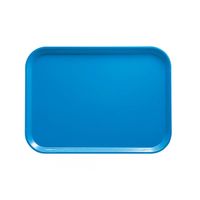 BANDEJA FIBRA DE VIDRIO 30X40 AZUL HORIZONTE