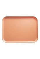 Bandeja Fibra De Vidrio Durazno Oscuro