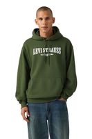 Polerón Hombre Relaxed Graphic Po Verde Levis 38479-0460