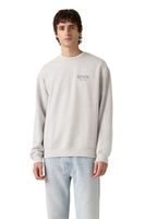 Polerón Hombre Relaxd Graphic Crew Gris Levis 38712-0491