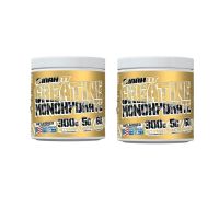 Pack 2 Creatina Monohidratada 300gr C/u - Binahfit