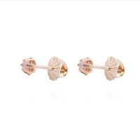 Aros Oro Miel 18kt Rosa de Francia 2,5mm