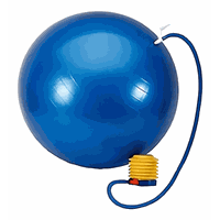 Pelota Balon Yoga 65 Cm Pilates Con Inflador