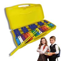 Metalofono 25 Notas Cromático Placas Colores