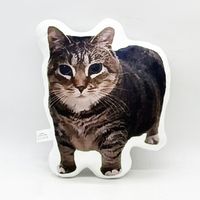 Almohada Con Gato Estampado Divertido Cómoda 26 cm