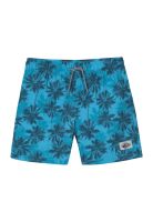 Traje de Baño Niño Short Est. Palmeras H2O Wear