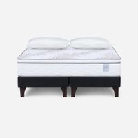 Cama Europea Neo Plus Super King + Almohadas Microfibra Feel
