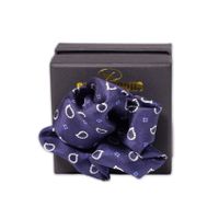 Pañuelo de Bolsillo Gino Rodinis PA027