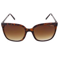 Lentes de Sol Levis X13007 Mujer