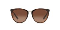 Lentes De Sol Jack Pacific JK1032M  Havana Mujer