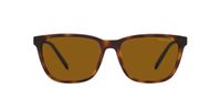 Lentes de Sol Arnette Cortex AN4291 Havana
