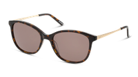 Anteojos De Sol Dbyd DB4024 Dbsf5013 Havana Unisex