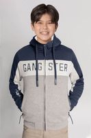 Teen Polerón Fullzipper Fleece Fun Azul Gangster