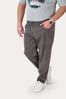 Plus Pantalon Canvas Liso Chester Gris