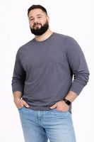 Plus Polera ML Field Gris