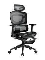 Silla De Escritorio Reclinable Reposapies Q9 By LuBabycas