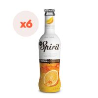 6x Vodka Spirit Orange 5,5º 275cc