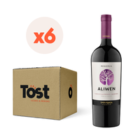 6x Vino Aliwen Reserva Cabernet Sauvignon 750cc