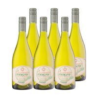 6x Vino Caliterra Tributo Gran Reserva Chardonnay 750cc