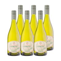 6x Vino Caliterra Tributo Gran Reserva Sauvignon Blanc 750cc