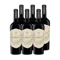 6x Vino Caliterra Tributo Gran Reserva Cabernet 750cc