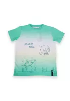 Polera Niño Verde Pillin