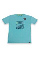 Polera Niño Verde Pillin