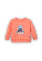 Polerón  Niño Coral Pillin (PVC501-25COR3M)