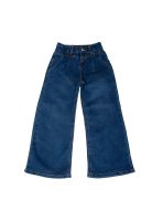 Jeans Azul Pillin ( PVB718-25DEN )
